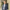 Portrait Header Website Image