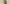 Portrait Header Website Image
