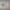 Teaser Image PRISMA Compactness